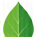 Green leaf icon for sustainability