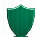Safety shield icon